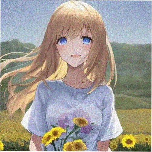 用户苏禾头像